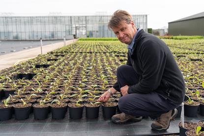 Martin Emmett Binsted Nurseries