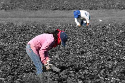 Worker welfare