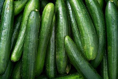 Pile of cucumbers Adobe Stock