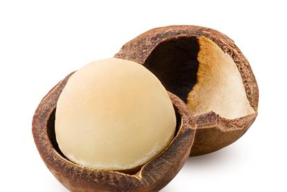 Foto: grey/AdobeStock