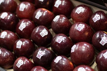 Soluna apples