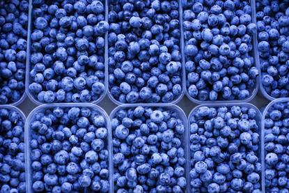 Blueberries in plastic containers top down view Adobe Stock