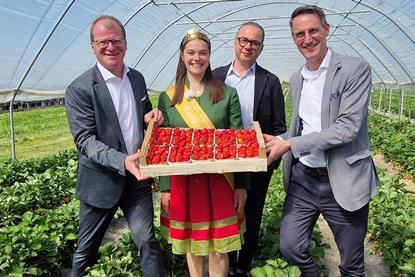 Badische Erdbeersaison 2025 ist offiziell eröffnet