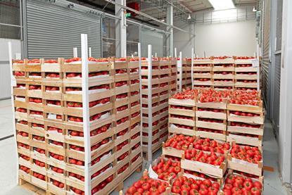 Tomato pallets storage Adobe Stock