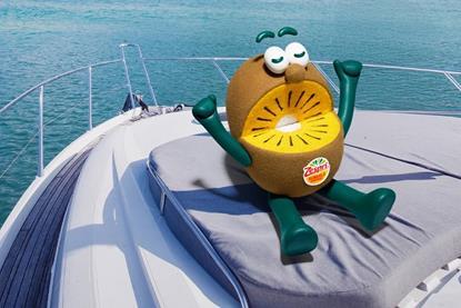 NL Zespri kiwi brother SunGold