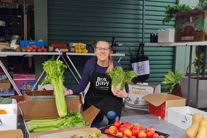 Box Divvy Hubster Vanessa with FV boxes