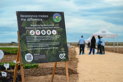 Enza Zaden Discovery Fields Days