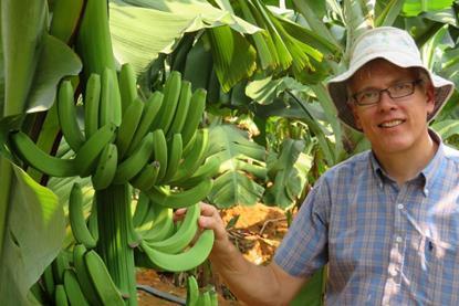 prof andre drenth-qaafi