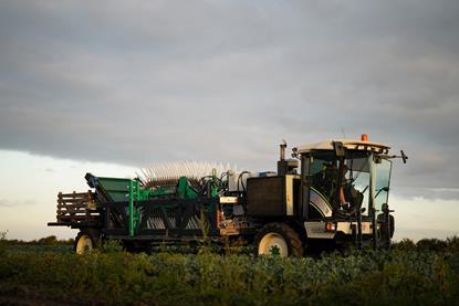 UPP plans to expand its tech to cabbage and lettuce