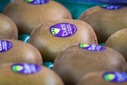 Dulcis kiwifruit