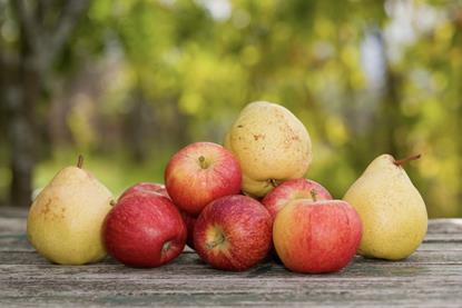 Apples and pears stacked on wooden table Adobe Stock