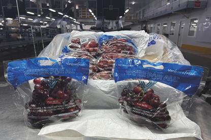 Vanguard grapes