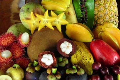 Generic exotic fruits