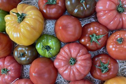 Französische Tomaten auf der FRUIT LOGISTICA 2023