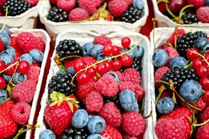 Beeren-Mix aus Erdbeeren, Blaubeeren/Heidelbeeren, Brombeeren, Himbeeren und Johannisbeeren in Faserguss-Schalen