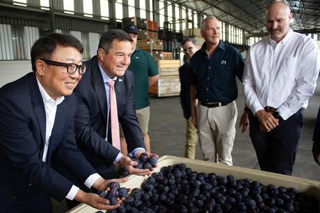 South Africa first stoneftuit shipments to China