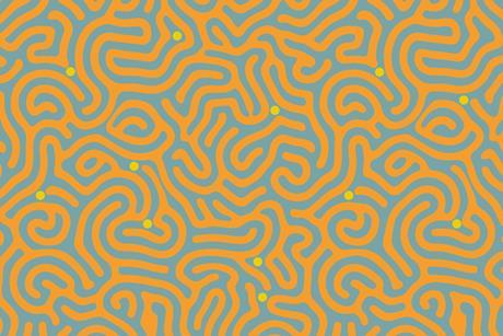 NGTs maze