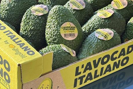Italian Avocado Jingold