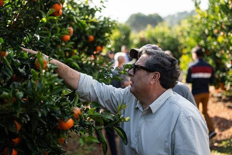 Genesis Fresh road trip B