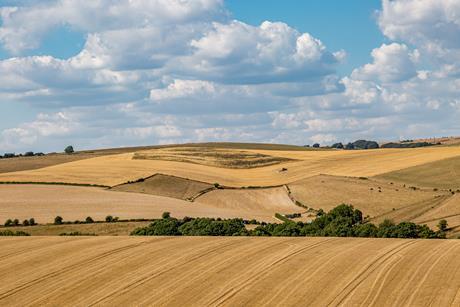 UK drought