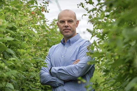 Wyard Stomp Driscoll's 2026