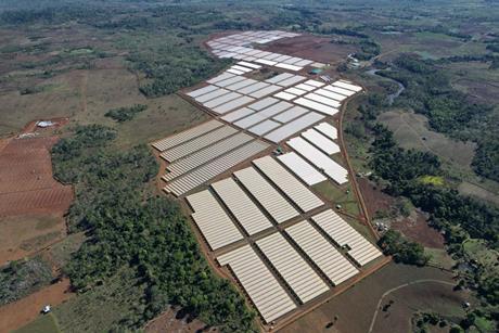 Costa Laos berry operation