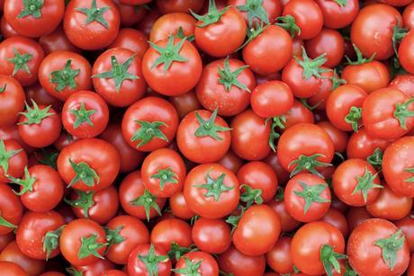 Generic tomatoes top down view Adobe Stock