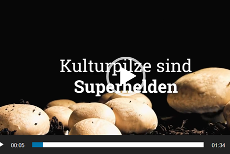 Der Bund deutscher Champignon- und Kulturpilzanbauer (BDC) hat in einem neuen Film die Welt der Speisepilze erlebbar gemacht.