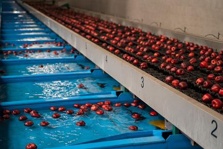 apfel wasser-vip