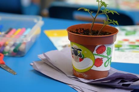 77 per cent of pupils said they were more willing to eat tomatoes following the campaign