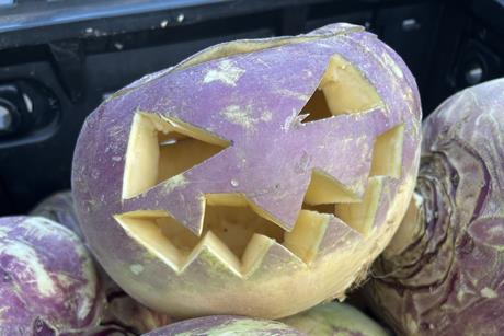 JPEG swede
