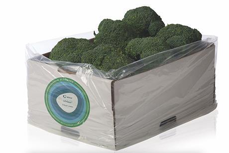 Amcor P-Plus liner