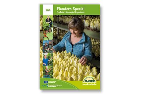 Flandern Special_2025_Web