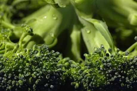 broccoli-1792236_1920