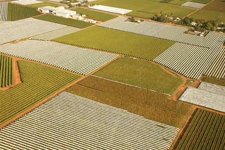 Landscape Farm