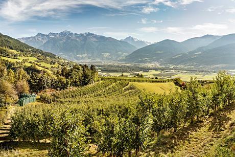 apfel_plantage_vinschgau_2021_vip