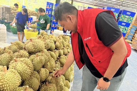 JD Fresh Thai durian
