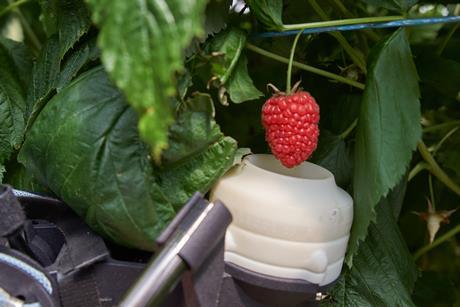 Fieldwork Robotics' robotic picking