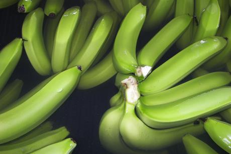 Ecuador Bio-Bananen - Produktion & Verpackung (40)