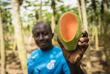 Blue Skies has pioneered prepping fruit close to source