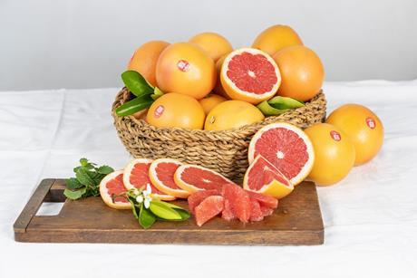 Summerstar Ruby Grapefruit South Africa