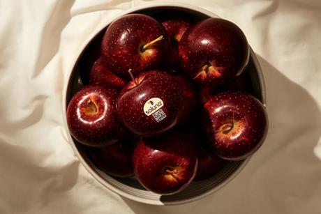 Soluna apples