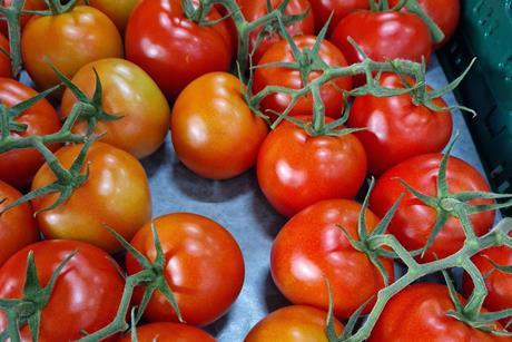 Tomaten