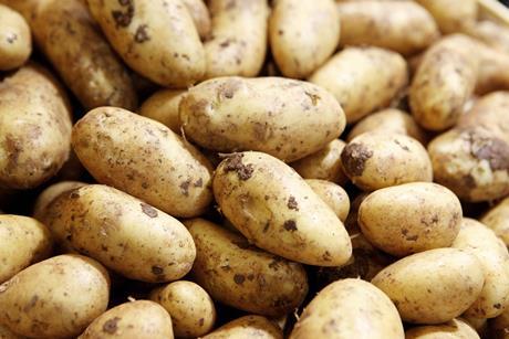 Kartoffeln mit Erde