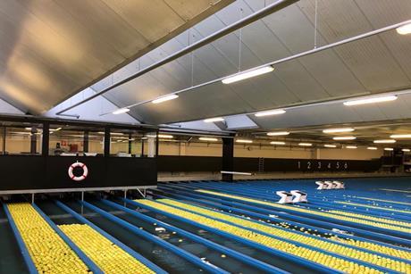 State-of-the-art systems for sorting and grading VIP apples