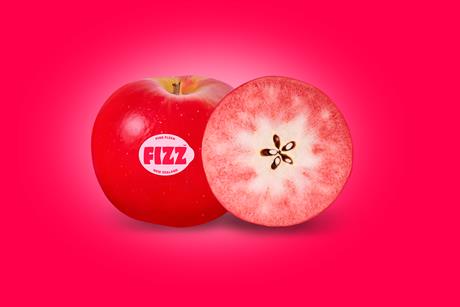 FIZZ Hero image 2
