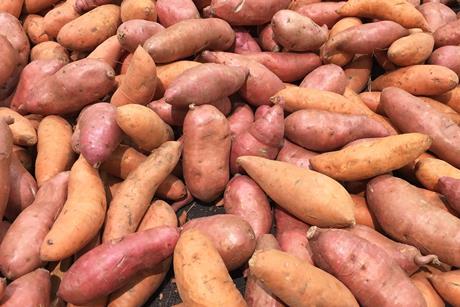 GEN Sweet potatoes AdobeStock_106166488