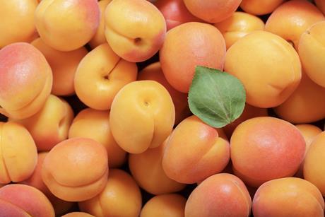 Generic fresh apricots Adobe Stock