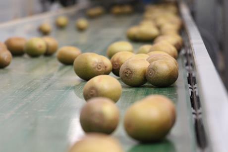 Seeka kiwifruit