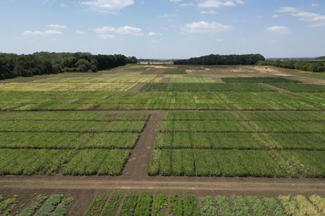 PGRO Pulse Open Day